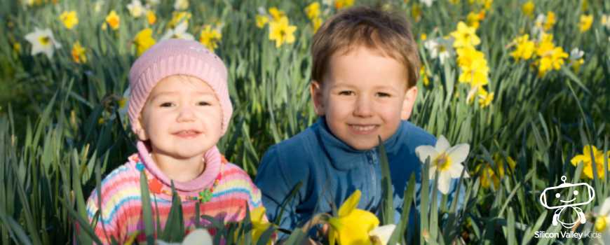 Frühling einfach erklärt Kinder