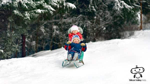 Nadelbaum im Winter