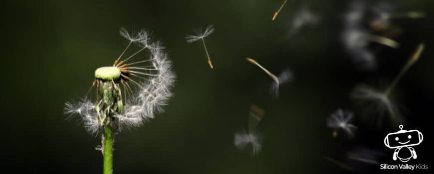 Wind Grundschule einfach erklären