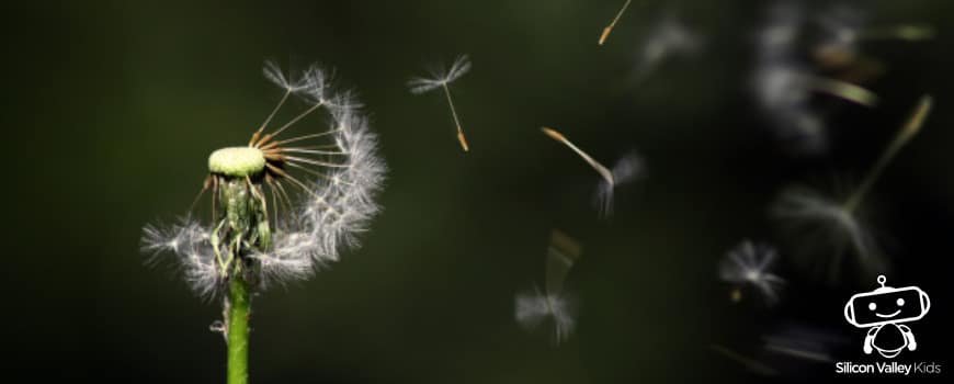 Wind Grundschule einfach erklären